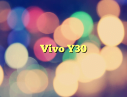 Vivo Y30